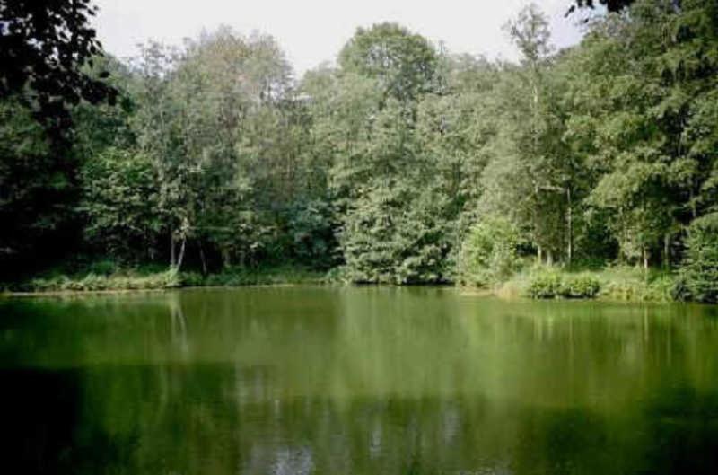 Deb 035 Ferienwohnung Im Westerwald Freirachdorf Kültér fotó